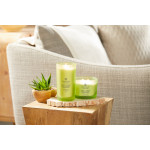 AWAKEN + INVIGORATE